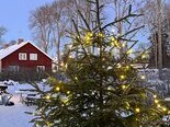 Skärgårdsjulbord med boende