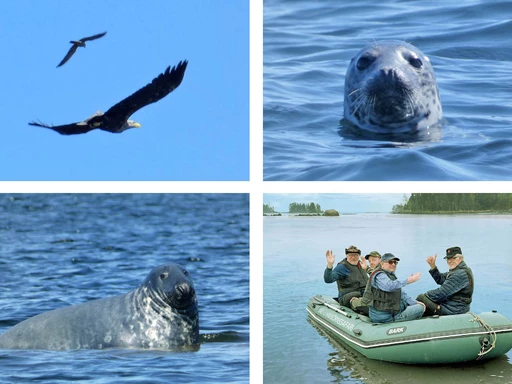 Upplev havet i Axmar bruk